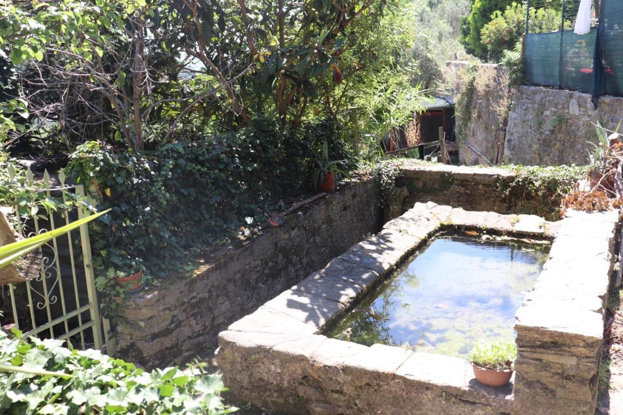 Antico Lavatoio Hotel Luni Kültér fotó